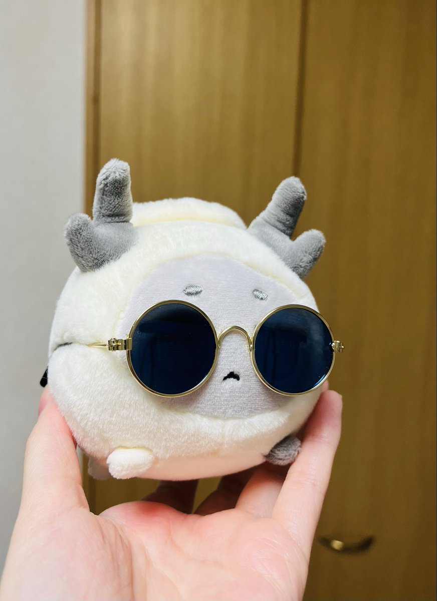 tutu_1407's tweet photo. 😎 https://t.co/0XBddUGTa5