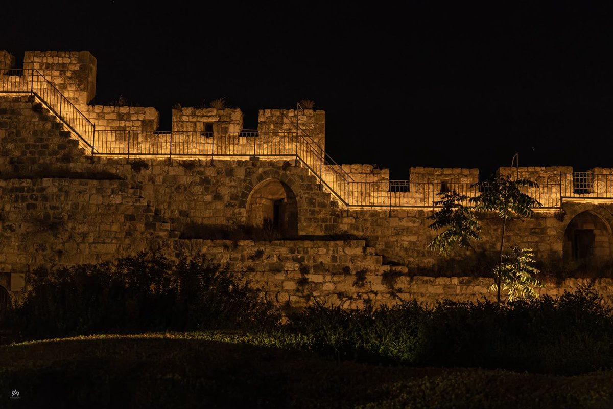 Israel tweet picture