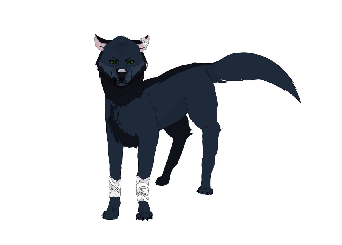 Ferirormn's tweet photo. @Gonsvillainarc Hello, Ika! I just wanted to show you my drawing of Wolf Yuu! Since I don't know exactly what his wolf form looks like, I decided to have some fun with the design. I hope you like it! https://t.co/9VnpDJPS1d