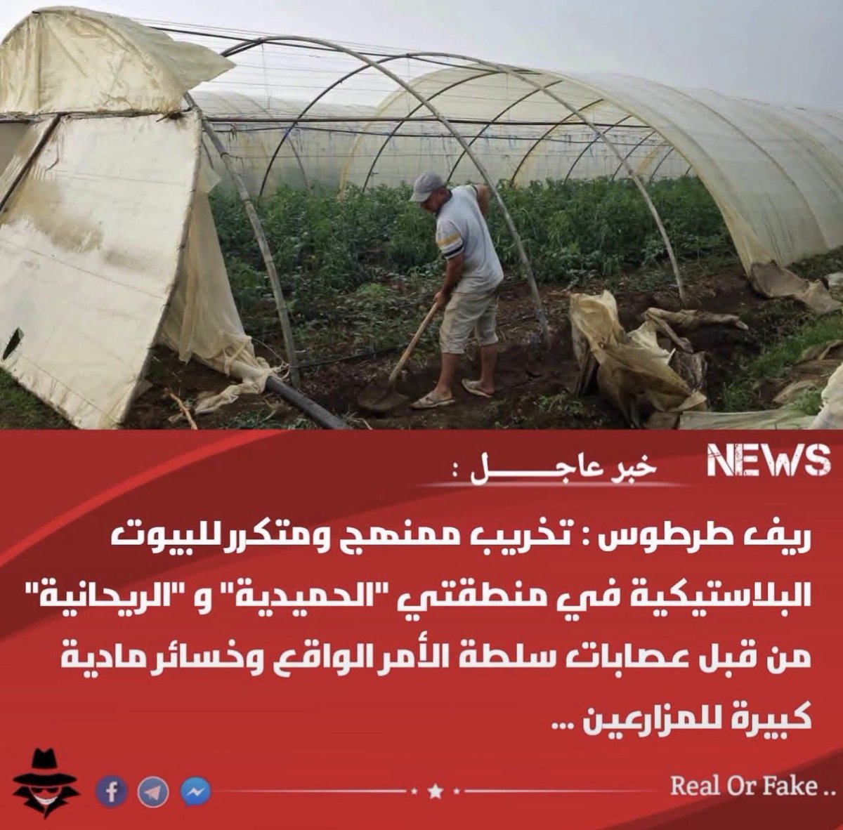Tartousian89's tweet photo. According to news from Tartous ⬇️⬇️
Islamist extremists destroy the farms of Alawites in  Tartous to take away their income ⬇️⬇️⬇️
This is part of a genocide😞😞
@UNHumanRights
@hrw
 @MinorityRights 
#SyrianCoast https://t.co/xxoKoHVh6n