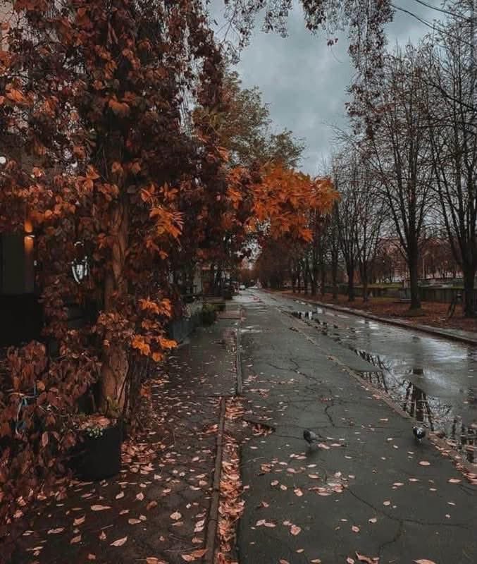 thespookygirll's tweet photo. October state of mind https://t.co/j9EcW9lrRi