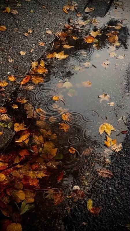 thespookygirll's tweet photo. October state of mind https://t.co/j9EcW9lrRi