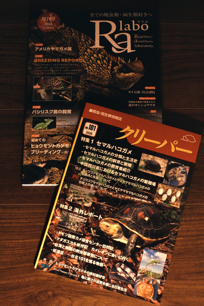3fe4e89b696d4a8's tweet photo. 賌å
¥åã
ã©ã©ãã®ã¯ãªãªãã£ãæãããé«ãããã®äºåã ãã§ãè¶³ãéãã ç²æããã£ãð
#Ralabo
#ã©ã©ã
#ã¯ãªãŒããŒ
#ã¶ããã
#burikura
https://t.co/9Rtk2A6jMS https://t.co/LCzAzrq7kr