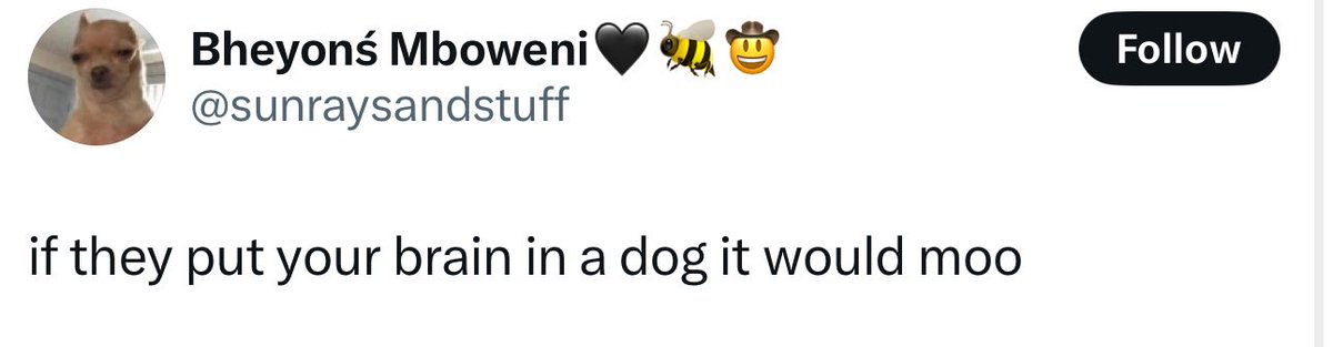PortiaMoemedi's tweet photo. These are by far the top 5 nasty reads on this app😂😂.

“if they put your brain in a dog it would moo” is nr 1😂😂😂 https://t.co/32N6A9UDbs