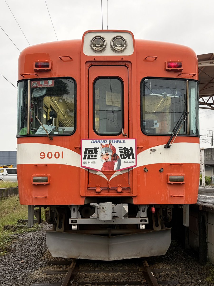 Ketama8001's tweet photo. #シマハイ電鉄2026 
遅くなりましたがシマハイちゃん5周年本当におめでとう！
6/27の予定がW台風で中止となり、9/20も台風接近の波乱でしたが「シマハイ電鉄2026」が無事催行できました！
ご乗車・ご協力いただいた皆様、岳南電車様、本当にありがとうございました！
※特別な許可を得て線路上で撮影 https://t.co/HQh43nh2i4