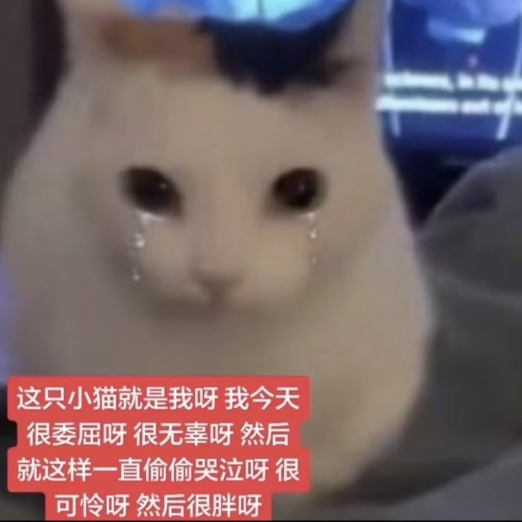 X_20602's tweet photo. https://t.co/xwSL2EOBze