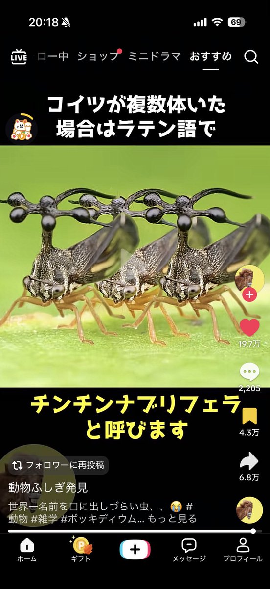 Aaaa_____qua's tweet photo. 今これで一生笑ってるTiktokライトやってよかったかも https://t.co/X2Rsxfyhld