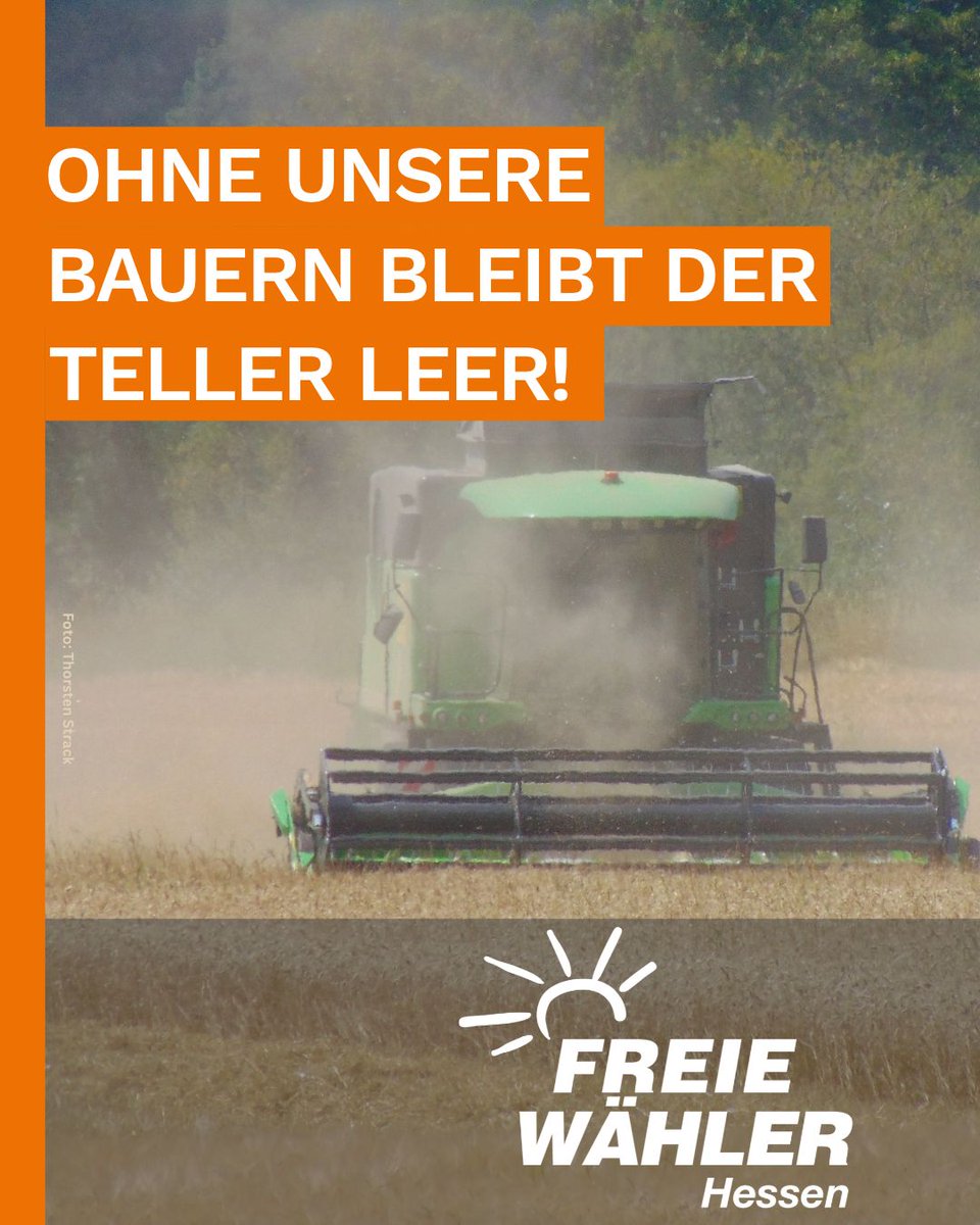 FWHessen's tweet photo. 🧑‍🌾🌾 Bäuerliche Landwirtschaft erhalten - heimische Lebensmittelversorgung sichern!

https://t.co/fyMtJiVzXK

#FreieWähler #Hessen #Landwirtschaft #Bauern #Lebensmittel #orangepower #AnpackenfürHessen https://t.co/Ub3s6ZmVu8