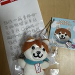 Photo by minipops (@minipops5)
