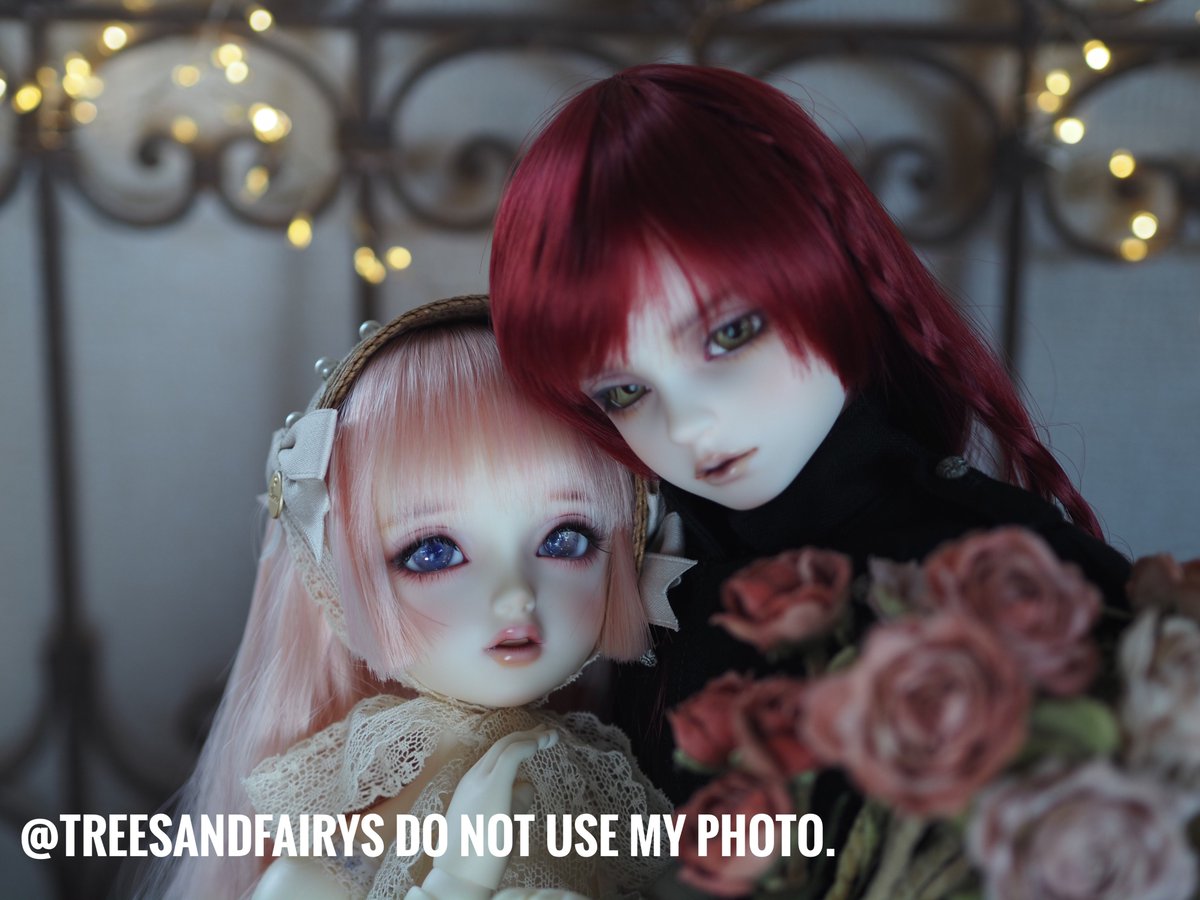 treesandfairys's tweet photo. なついてるみたいでなんかかわいいなあ〜💞

#スーパードルフィー https://t.co/EGeoZylWgE