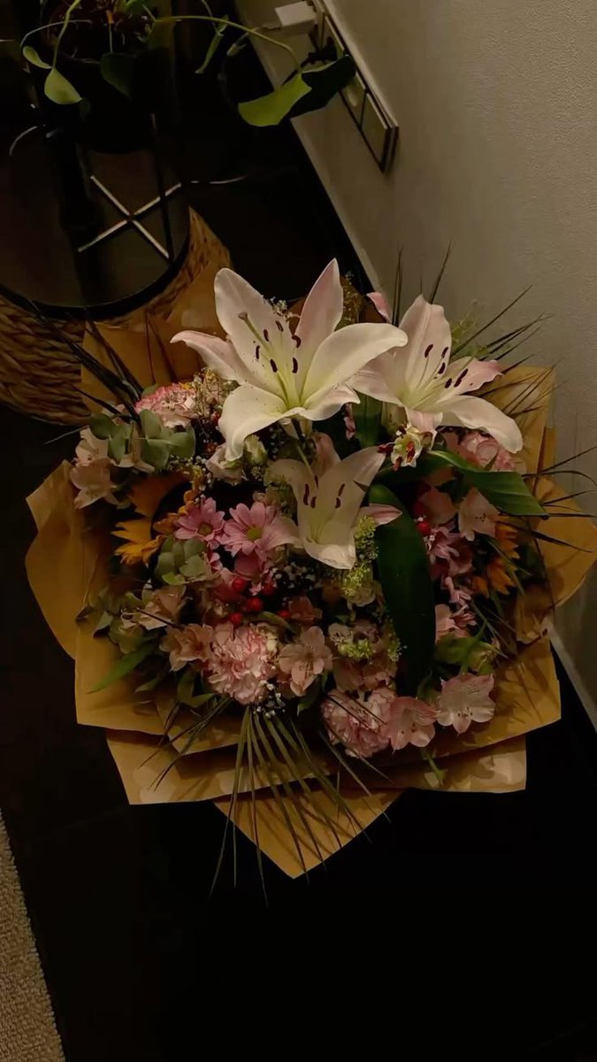 Liliestulipssss's tweet photo. https://t.co/HFXT2FDDIH