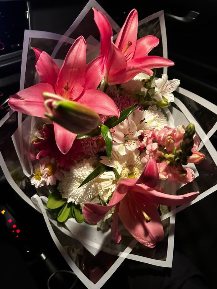 Liliestulipssss's tweet photo. https://t.co/HFXT2FDDIH