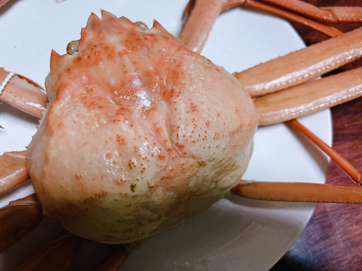 yk3uov's tweet photo. 今日はズワイガニ食べた🦀😋
めちゃ美味しかった！！ https://t.co/HpLUq3fYcr