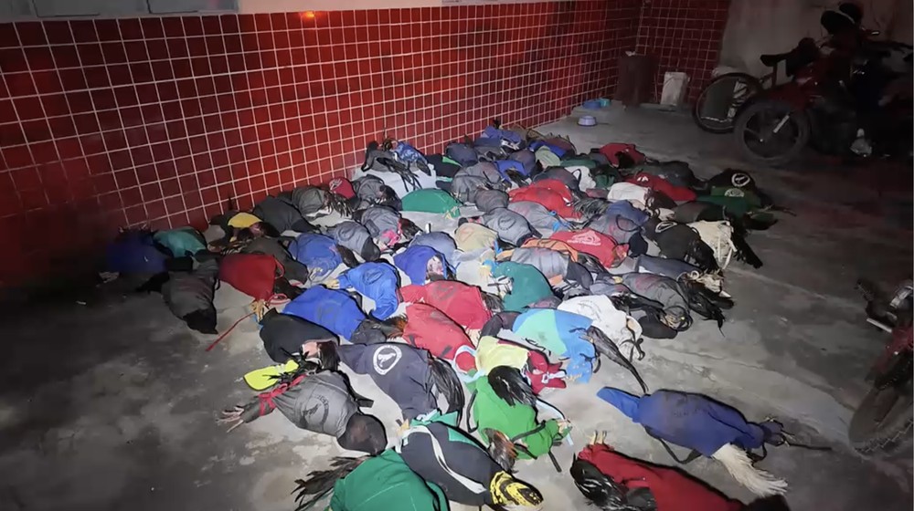 g1rn's tweet photo. Polícia apreende 77 galos de briga e conduz mais de 50 pessoas à delegacia em Mossoró https://t.co/42lZYEXk1k https://t.co/rqQ7bZiBKG