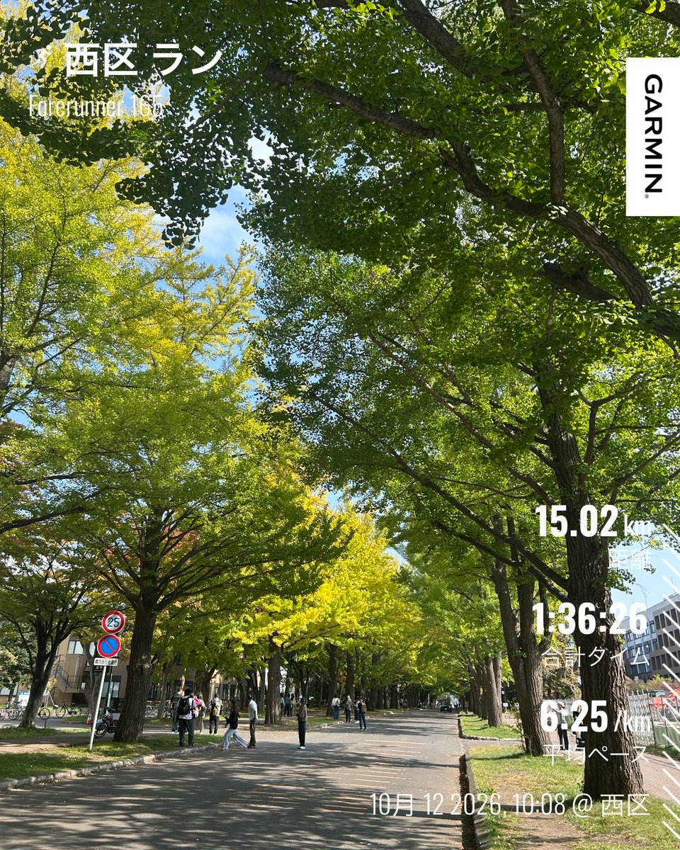 0715Miko's tweet photo. 朝ラン　北大コース
イチョウ並木はまだこれから！

暖かく走りやすい日和

農試公園ではマラソン大会やってました
楽しそうでした
外側を黙って走る
エントリーすれば良かった😢
いつ公開してたんだろ

昼からは野球中継釘付け
ファイターズ勝ったーー😆 https://t.co/XdRxOwBpgc