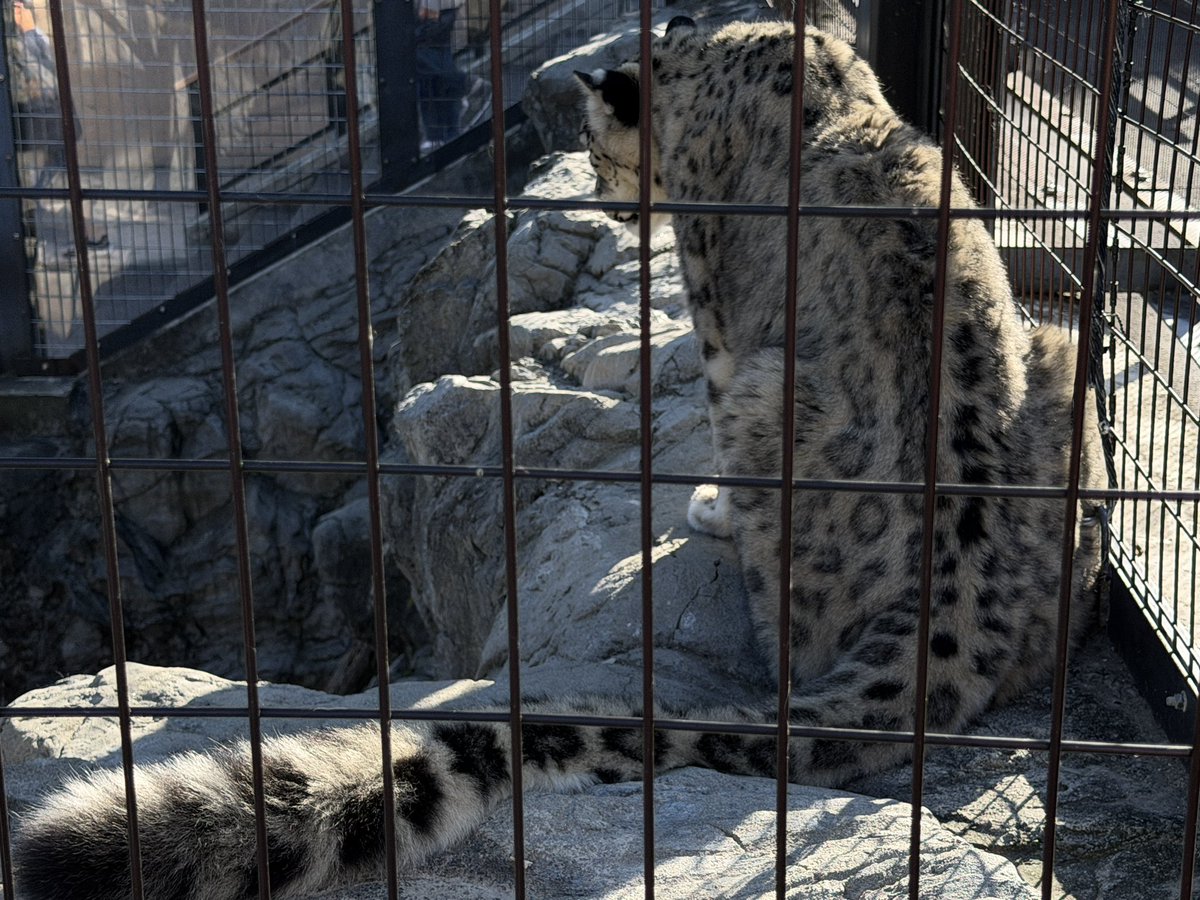 ptgrptgr's tweet photo. 今回北海道の動物園で今原が撮った可愛いおちりを見て欲しい https://t.co/pkuMRLKJxJ