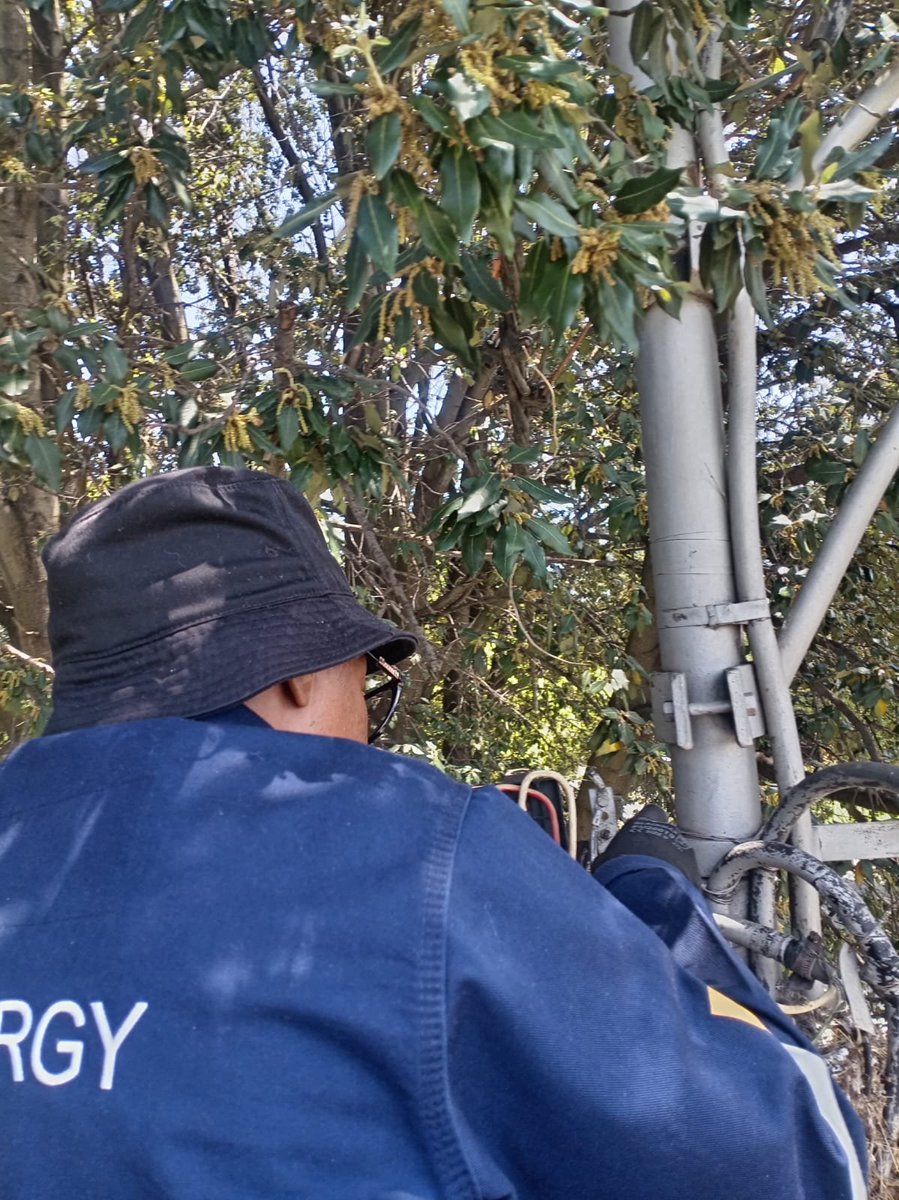City_Ekurhuleni's tweet photo. ๐ก #FixingTheFrontline | #CoEPowerUpdate
๐ง Streetlight fittings replaced in Alra Park, maintenance completed in Springs, power restored in Selcourt, and streetlights restored in Mayberry Park.
๐ข Report power or streetlight faults: 0860 543 000.
#Ekurhuleni #CoEWorks https://t.co/WAIWTZhVbd