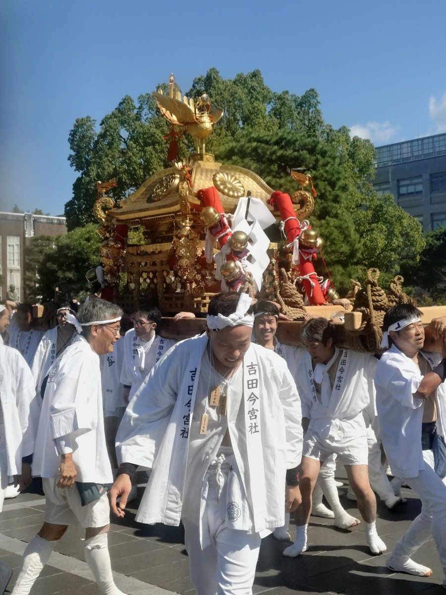 ryukyu353's tweet photo. 吉田今宮社の #御神輿 が #京都大学 にヾ⁠(⁠*⁠’⁠ヮ’⁠*⁠)⁠/。鳳凰がキラキラ輝いていました(2026.秋)
#京都 #吉田神社 (神楽岡鎮座 神仏霊場•京都30番)貞観元年(859)創健 #神幸祭 https://t.co/F4TSHxMs7x
