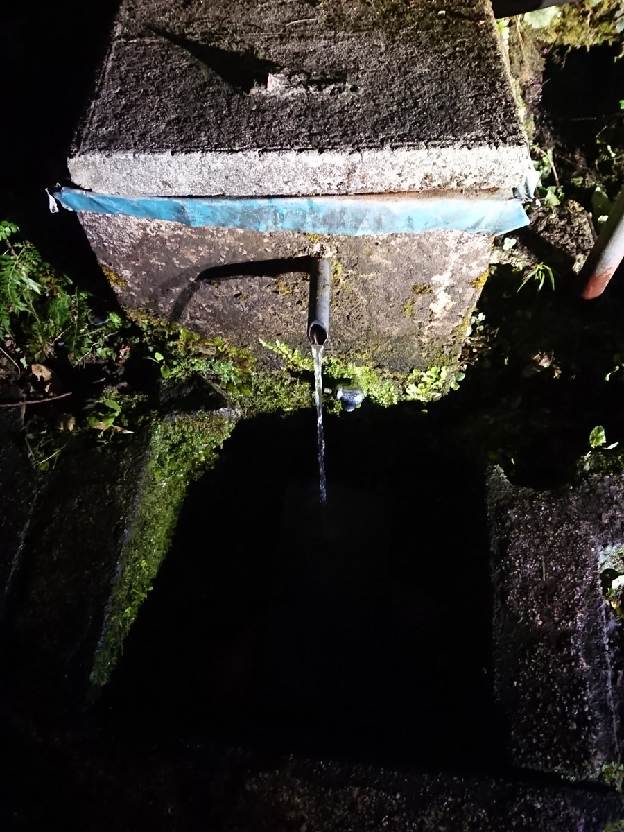 ChanShin39's tweet photo. ピナ嬢ロードバイク夜練
今日はシャッターが普通にきれた(笑)
湧水の水量が増えて早くボトルが満タンになるようになった https://t.co/h8FEqhAZ5I