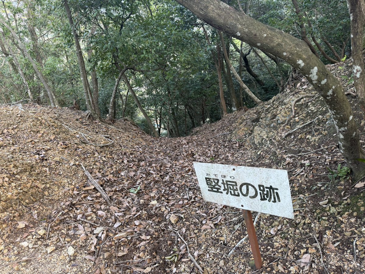 mashiwwiz's tweet photo. 龍野城の詰めのお城龍野古城にも登ってきました。
至る所に石垣が残っているのと竪堀跡も確認できました！
八幡宮跡の石畳が城内に残っているのも他のところではあんまりみないのでおすすめポイントですね。 https://t.co/82y8rhDZMj