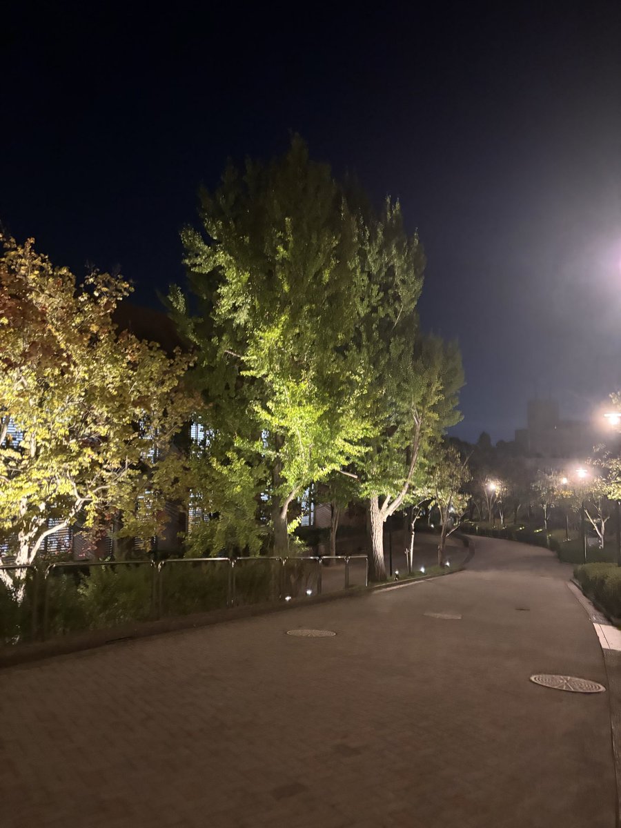 wh0yf's tweet photo. 他人しかいない学校からかえり、ます、 https://t.co/INn0BeN7ak