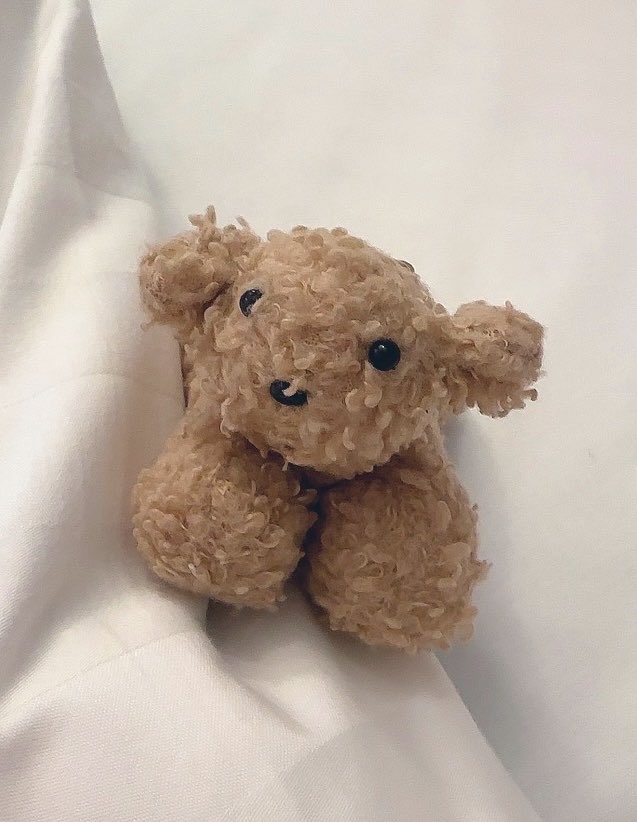 aizawa_hitomi0's tweet photo. 【少しお力を貸してください🧸】
とても大切にしている小さなお犬のぬいぐるみを無くしてしまいました。
なくした可能性がある場所は名古屋駅〜栄駅周辺です。

昨年虹の橋を渡った愛犬の代わりとして常に持ち歩いており、本日転倒した際に落としてしまった可能性が高いです。
埼玉から遠征で来ており、出来ることなら一緒に帰りたいです

どこかでお見かけした方、どんな些細な情報でも構いませんので教えていただきたいです(=´:-​:`= )

#落とし物
#ぬいぐるみ