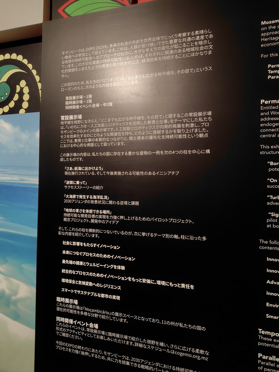 NEOSENBA1's tweet photo. 【🇲🇿モザンビークパビリオン②】
1年前の今日
#大阪・関西万博 https://t.co/CHpl16U6Vb