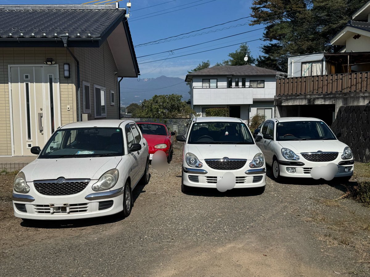moezo_31's tweet photo. りんごさんと政さんと僕とでプチオフ会
とても楽しく有意���な時間を過ごせました。中々x4、3台揃うのは稀ですね😊

#ストーリアx4 https://t.co/13b1fJfDN5