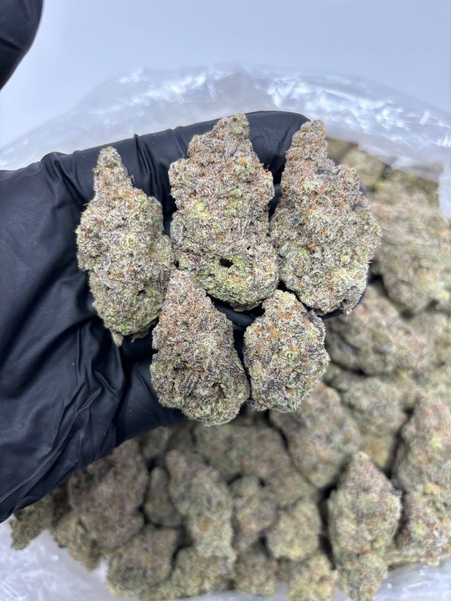 Weed_Daily1's tweet photo. My weed so good and i'm just gonna smoke some, cheers!😆

🌬️🌿✨
#drugstwt #drugtwt #weedtwt #smoke
#animalcookies #stonerfam  #CannabisCommunity #weedmob #420community #420friendly #weedsmokers #WeedLovers https://t.co/ai6YRcZBfK