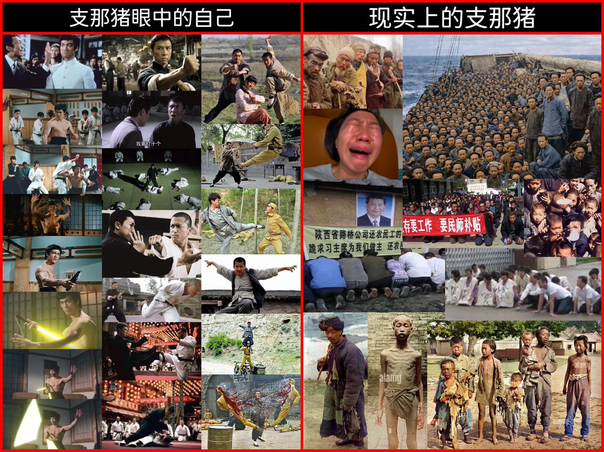 va9lx9's tweet photo. @arsherjuly @Cecilia2050020 @qianma133811 窩好害怕！支那豬又開始恐嚇了！嚇死我了。😭😭😂🫵🤡 https://t.co/GivO8aRv6r