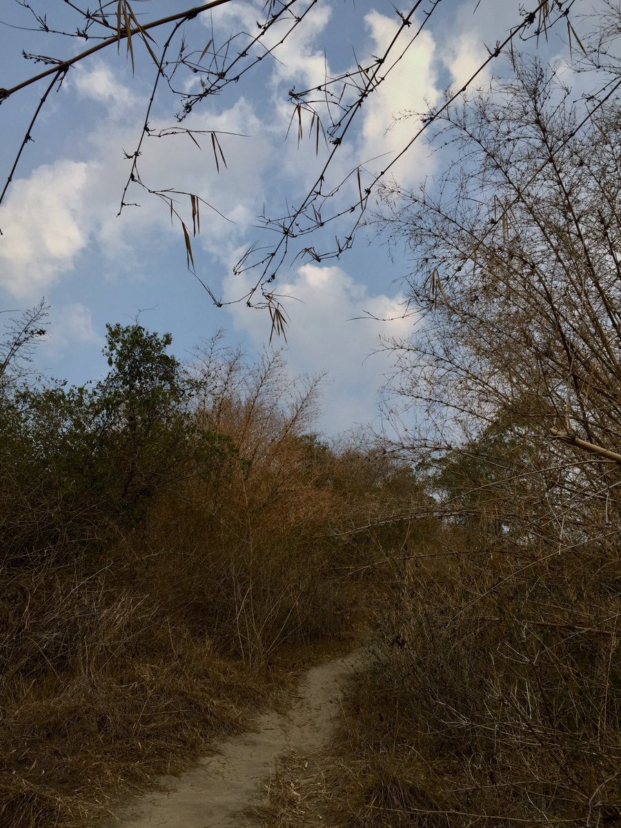 mistywds's tweet photo. Dumps of hiking https://t.co/ey8DGwUYl2