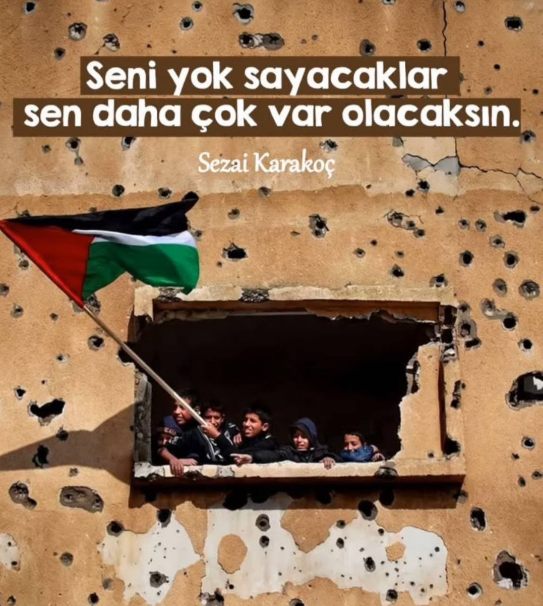 Yvz_fl tweet picture