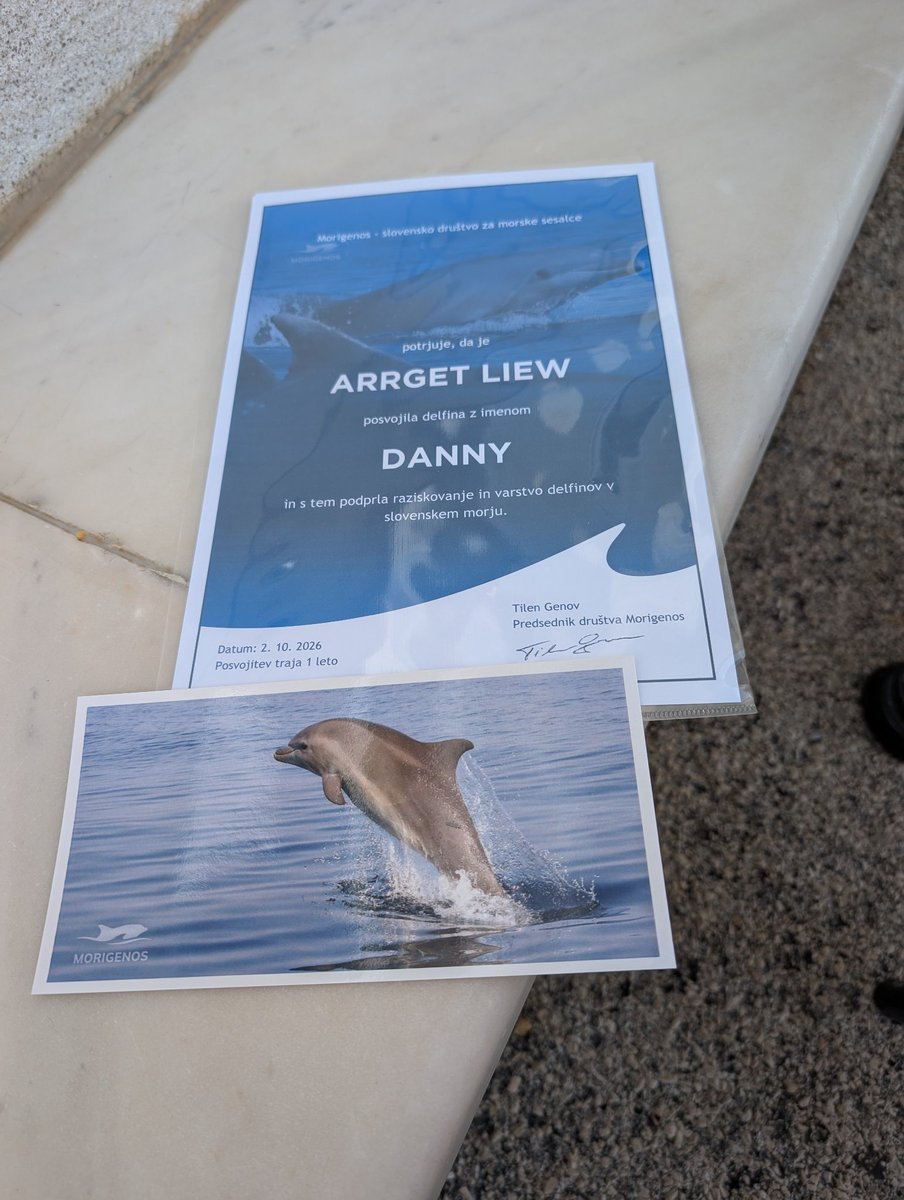 arrget57514's tweet photo. Adopted Dolfin Danny
           for 1 year https://t.co/7Fxfuiw660