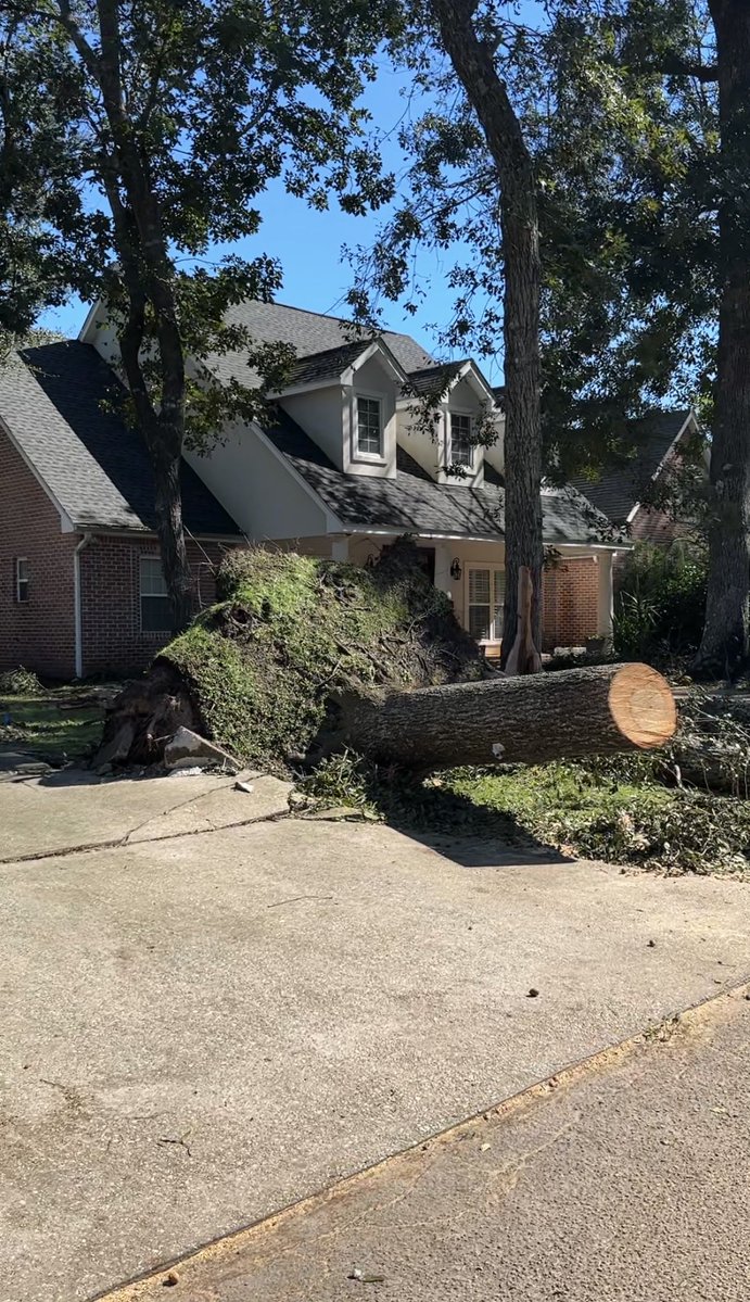 anitawestgaard's tweet photo. @WeatherProf So much damage in our neighborhood. https://t.co/Apx7Okp0Cp