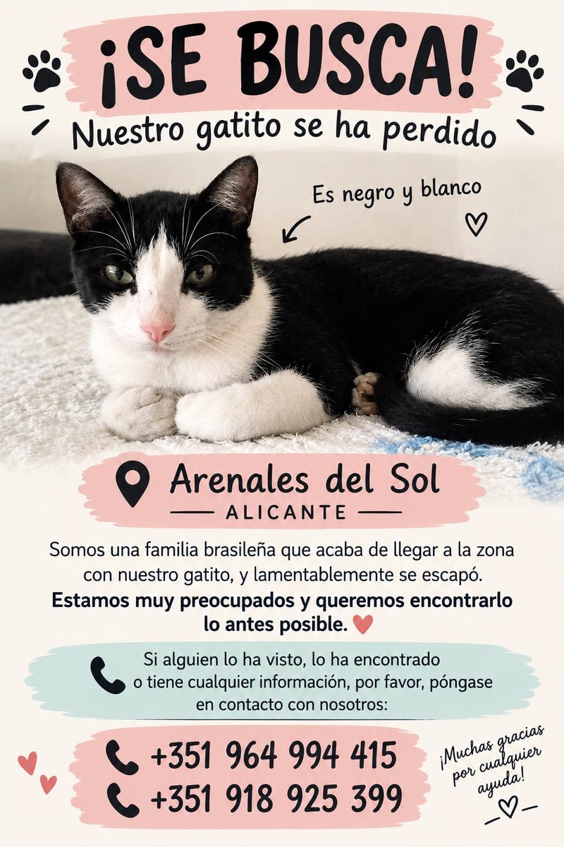 AcofalX's tweet photo. URGENTE PERDIDO EN ARENAKES DEL SOL (ALICANTE) https://t.co/9N5OWcneQa