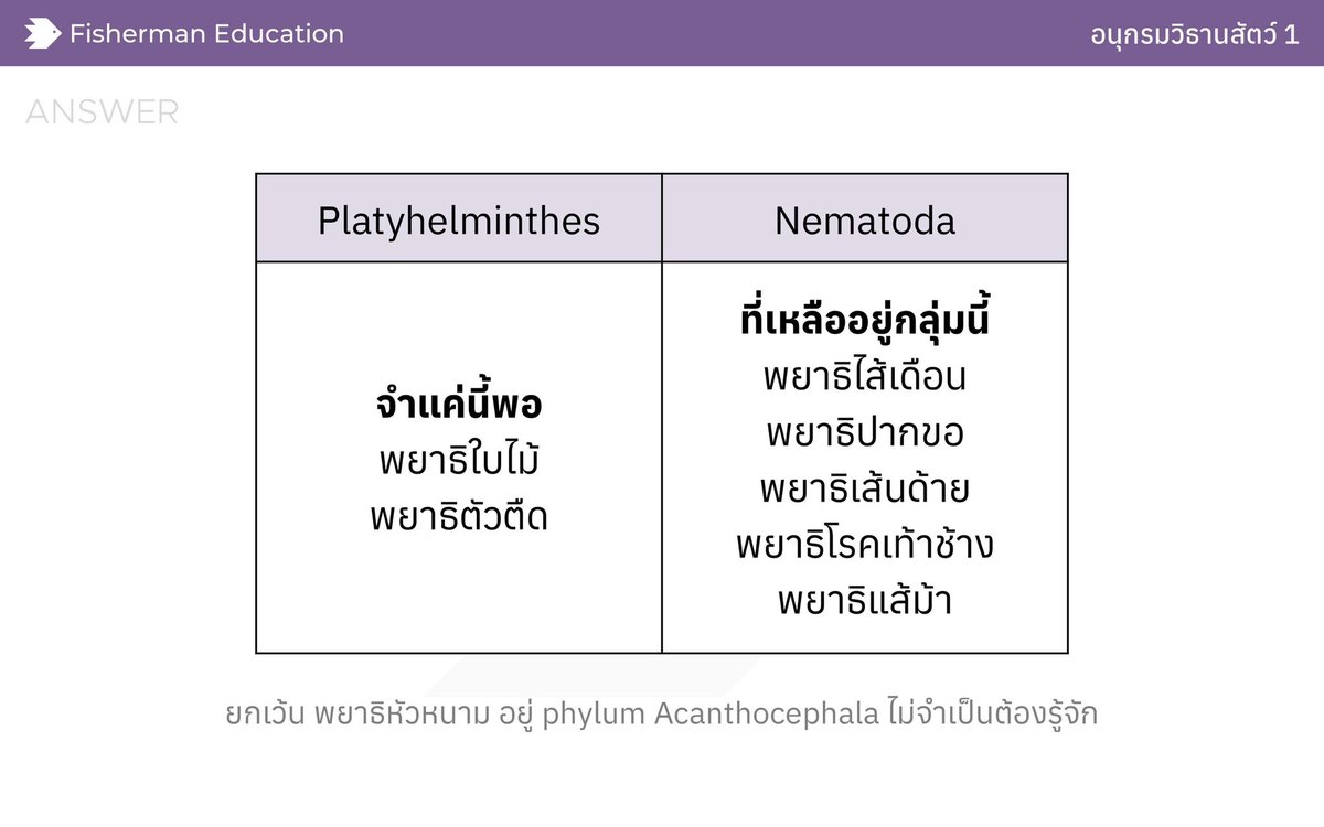 FishermanEduc's tweet photo. 🌟 สรุปว่าพยาธิแต่ละตัวที่มันออกสอบ A-Level ชีวะอยู่ไฟลัมอะไรกันบ้าง
.
1️⃣ Platyhelminthes จำ 2 ตัว ตัวแบน ๆ กันทั้งคู่เลย
✏️  พยาธิใบไม้, พยาธิตัวตืด
.
2️⃣ Acanthocephala อันนี้เป็น minor phylum ซึ่งเกิน ม.ปลาย ไม่ต้องจำก็ได้
✏️ พยาธิหัวหนาม
.
3️⃣ Nematoda จำว่าพยาธิที่เหลือส่วนใหญ่ทรงกลม ๆ ยาว ๆ อยู่กลุ่มนี้ทั้งหมด
✏️ พยาธิไส้เดือน, พยาธิปากขอ, พยาธิเส้นด้าย (พยาธิเข็มหมุด), พยาธิโรคเท้าช้าง (พยาธิฟิลาเรีย), พยาธิแส้ม้า
