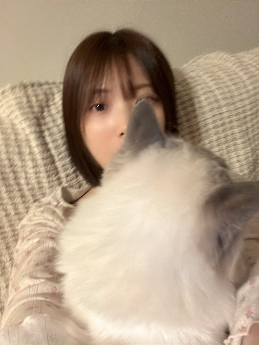 _ishikawamio_'s tweet photo. 愛しい後頭部 https://t.co/Zs0gV47nsk