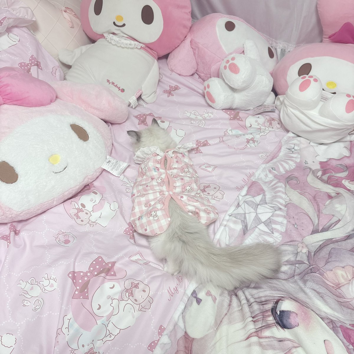 mxmelodu's tweet photo. 내 새꾸 ♡ https://t.co/9pZbq9QhAx