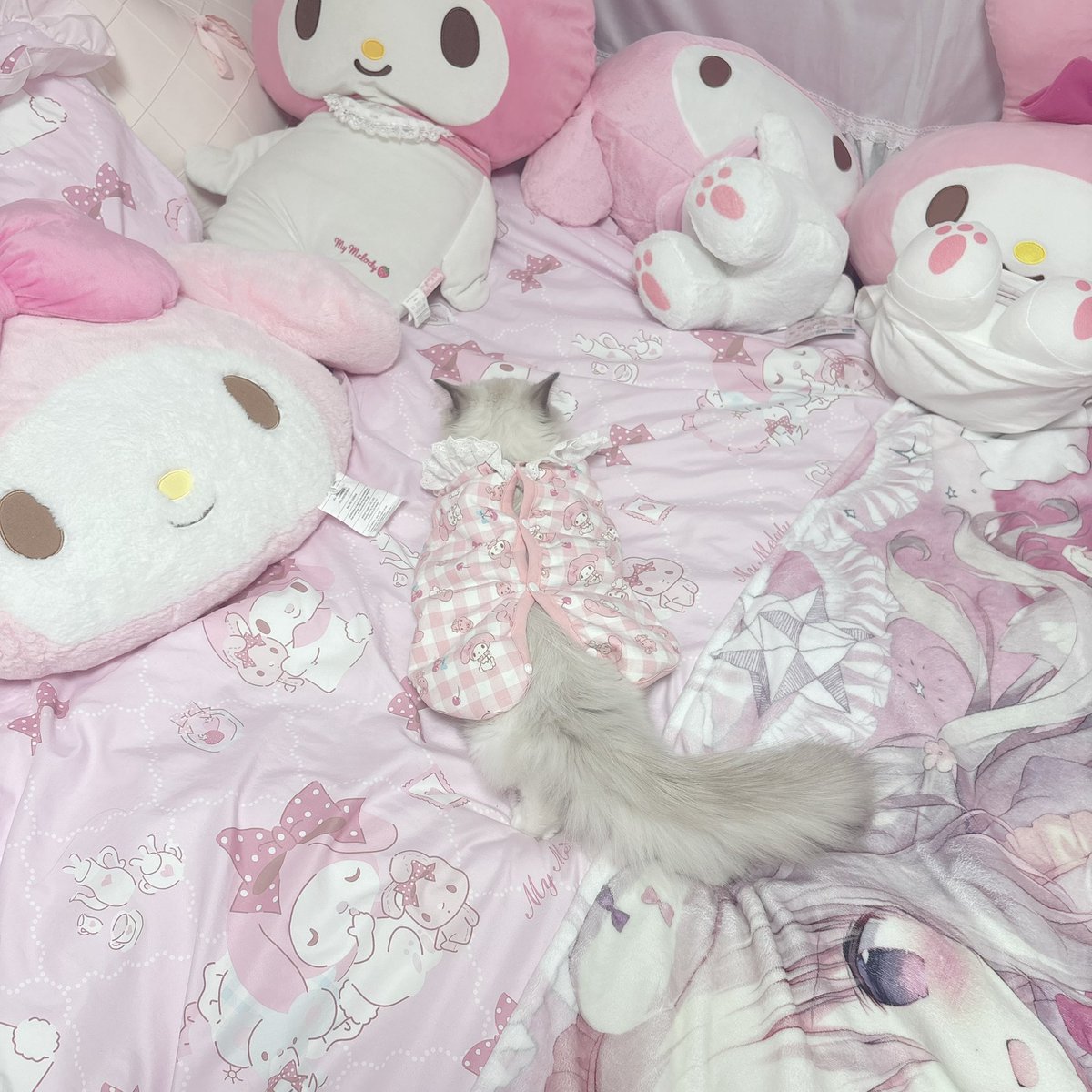 mxmelodu's tweet photo. 내 새꾸 ♡ https://t.co/9pZbq9QhAx