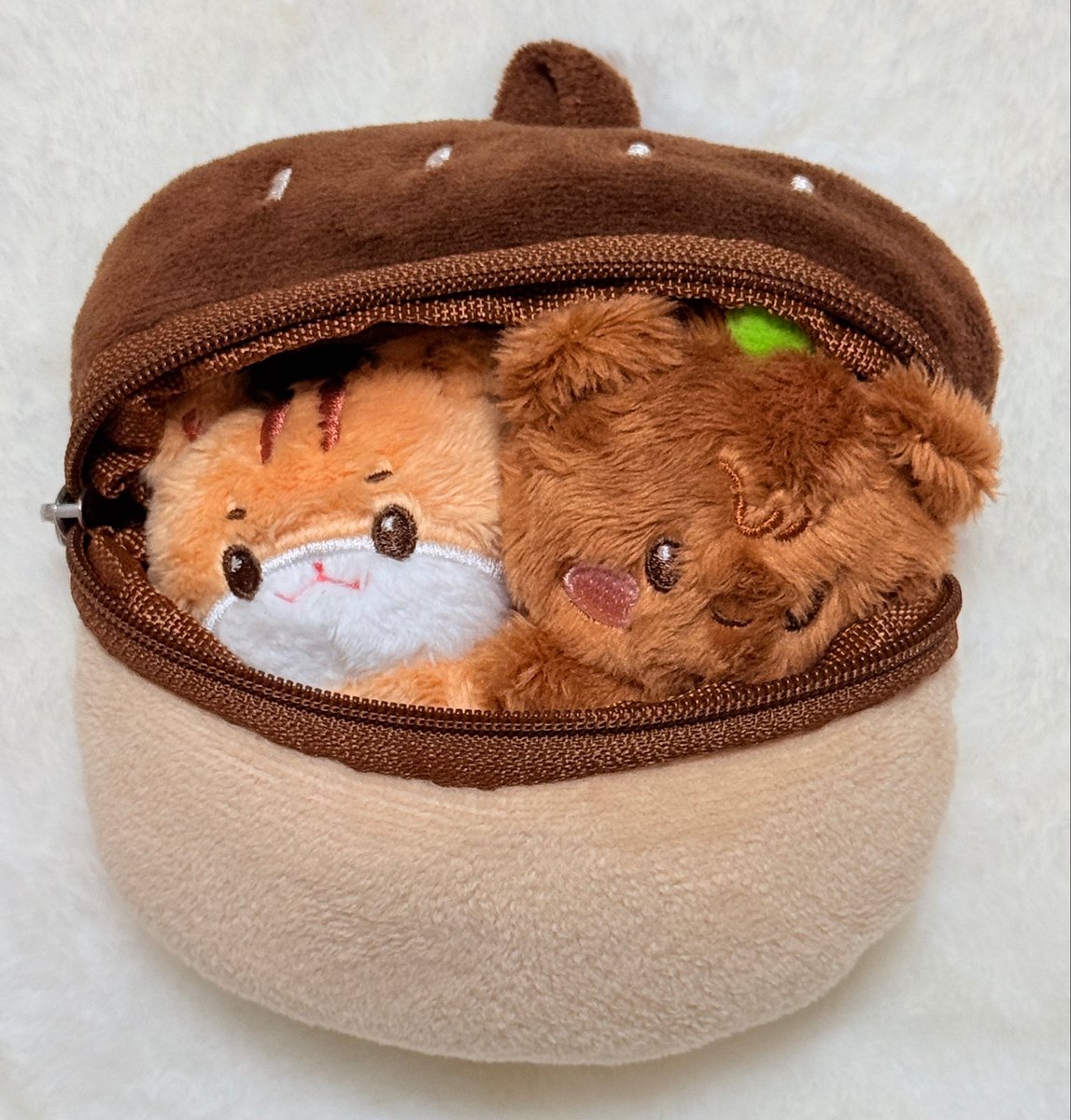 muse_HJ_'s tweet photo. 데굴데굴데굴데굴
도토리가 어디서 왔나 https://t.co/s6Q2mWFS5n