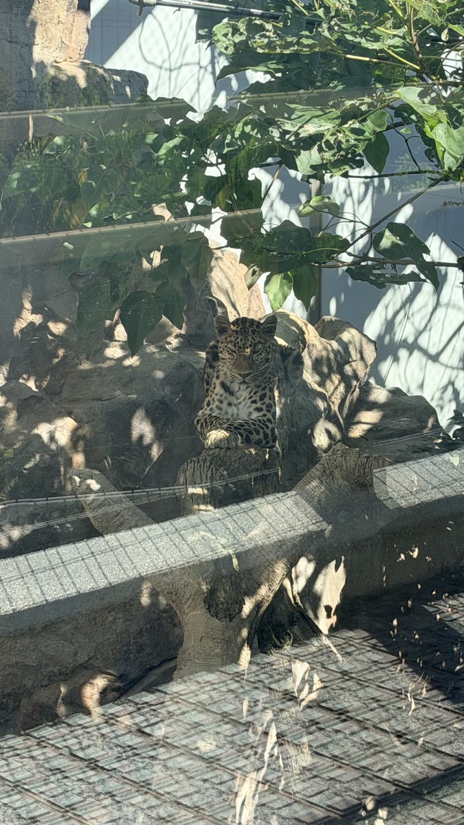 H_iitann's tweet photo. 今日は皆で動物園行ってきた🤍

クチバシがド派手な鳥さん可愛かったな https://t.co/cM2ywyDdYY