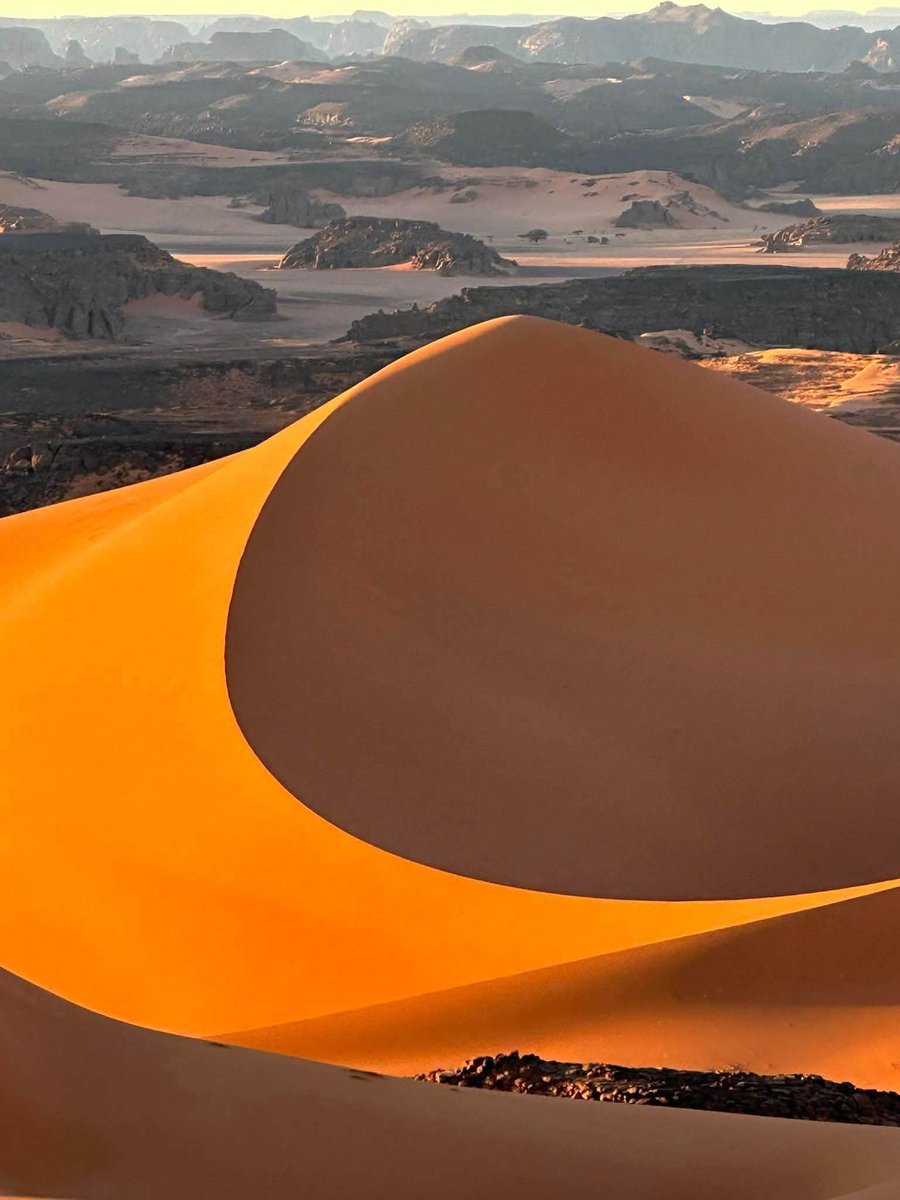 Algerian_desert tweet picture