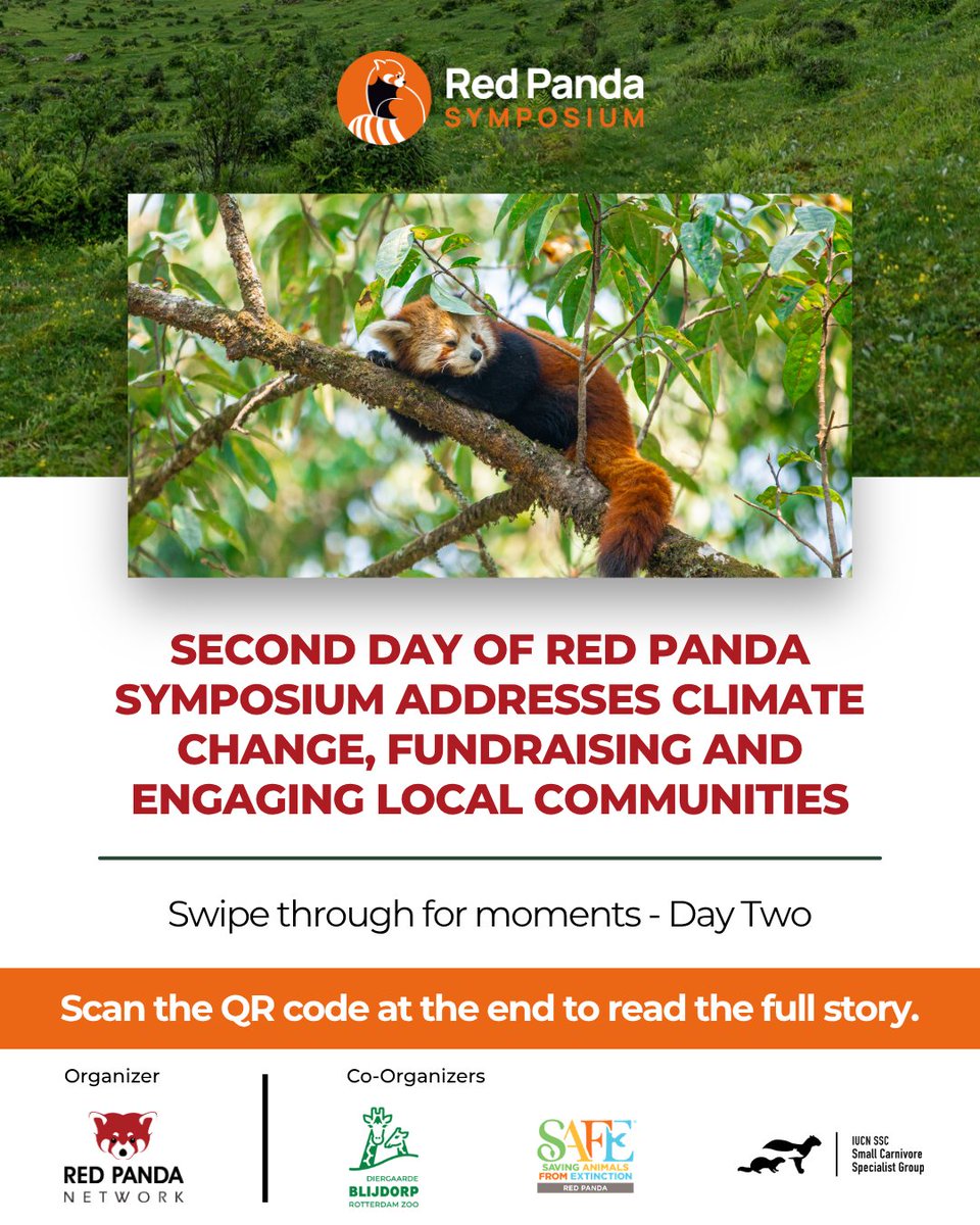 RedPandaNetwork's tweet photo. Day Two at the Red Panda Symposium 2026 🐾

The second day explored how climate change, ecotourism, fundraising and community engagement shape the future of red panda conservation, bringing fresh ideas and perspectives to the conversation.

Read the full blog here: https://t.co/oHt6feyk5S

#RedPandaSymposium #RedPanda #RPS #Conservation #Symposium