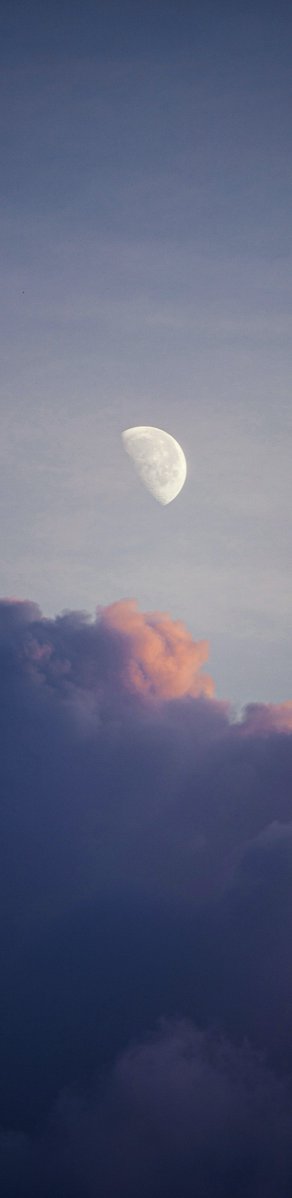 earthcurated's tweet photo. night has its own kind of beauty ✨ https://t.co/8ohQs7tN3t