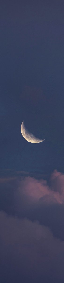 earthcurated's tweet photo. night has its own kind of beauty ✨ https://t.co/8ohQs7tN3t