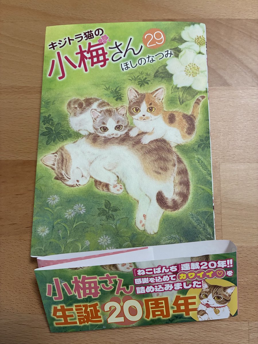 kijitorashippo2's tweet photo. お知らせ遅くなりました
「キジトラ猫の小梅さん」29巻発売中です

ねこぱんちと共にキジトラ猫の小梅さんも20周年に！
創刊から一時期「猫侍」のコミカライズを挟みつつ…今日までずっと続けられたのは読んで下さっている皆さんのおかげです
ありがとうございます！

これからも宜しくお願い致します https://t.co/b921fcvLoK