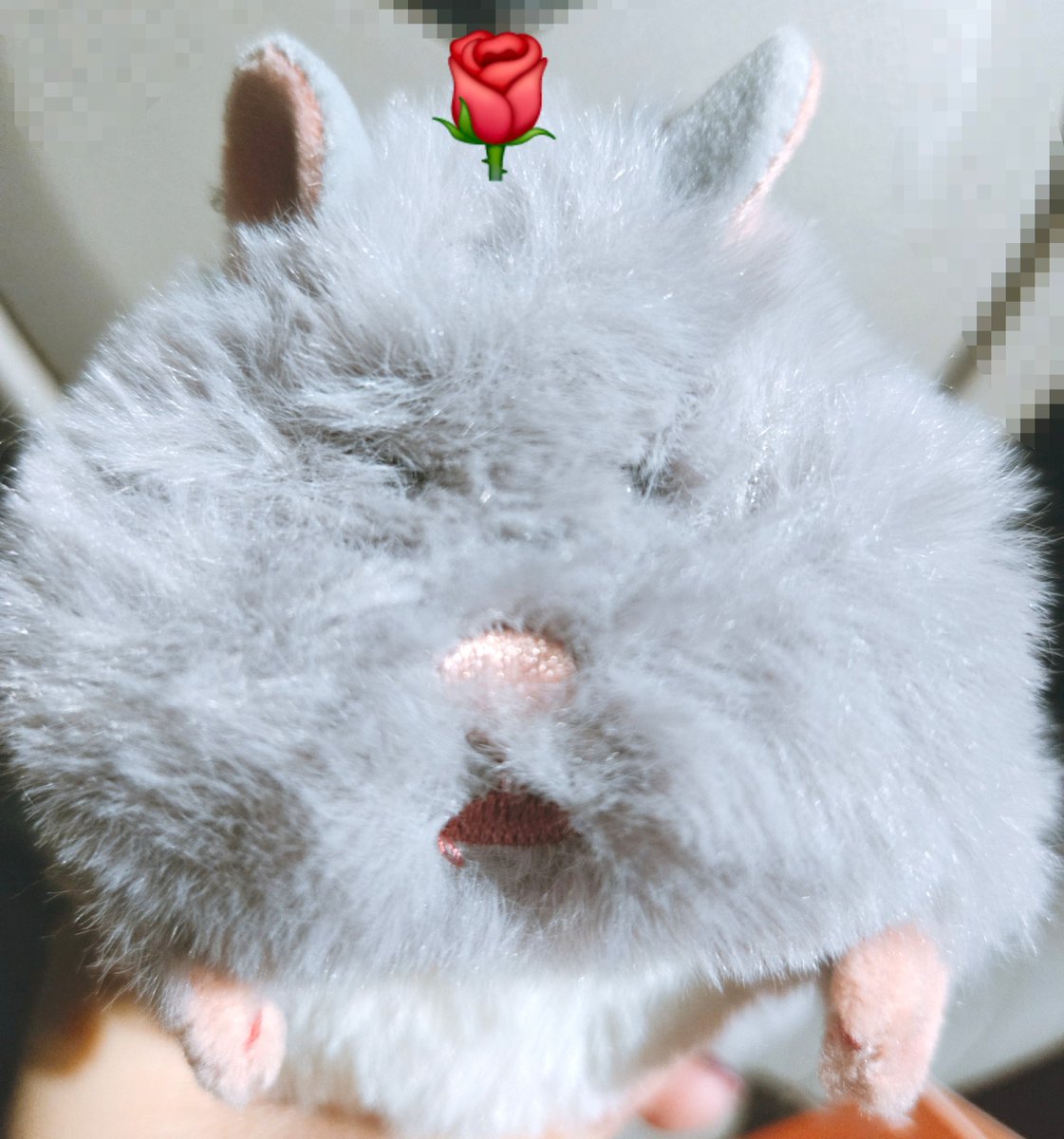 htknkn29's tweet photo. グレーのはむにぎりお迎え！！
ちょっと口の糸ほつれてるけど… https://t.co/zPyqovNgon