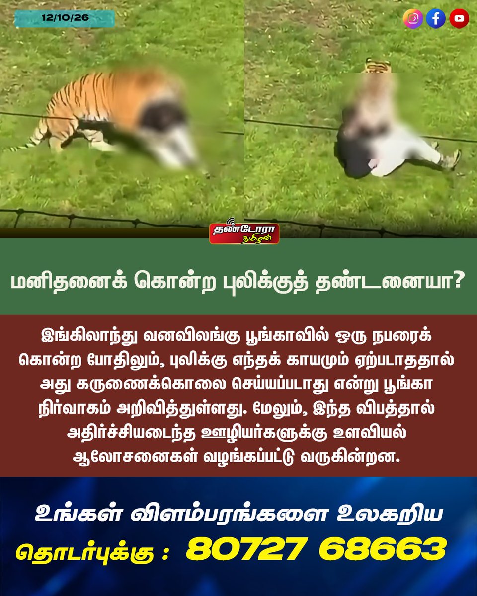 ThandoraTamilan's tweet photo. #மனிதனைக் கொன்ற புலிக்குத் தண்டனையா? || Thandora Tamilan
#TigerAttack #EnglandNews #YorkshireWildlifePark #WildlifeNews #WorldNewsInTamil https://t.co/dFn42dAM1u