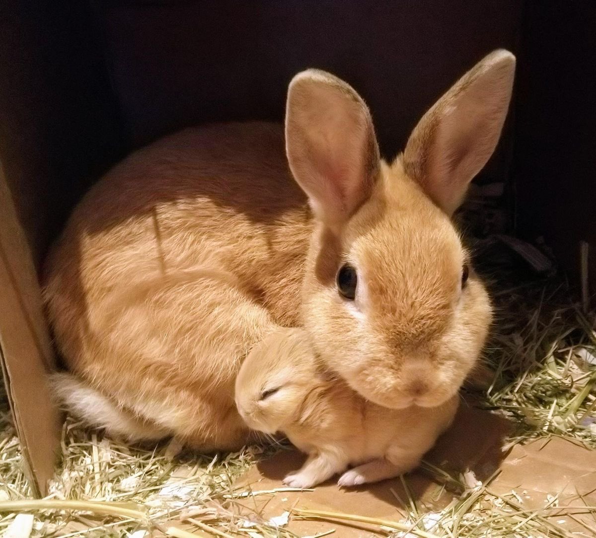 lesbiancr0w's tweet photo. https://t.co/sIrQnzUt1T