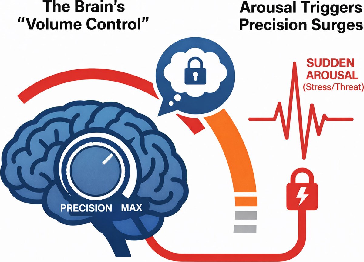 Brain1878's tweet photo. Lyndon proposes that functional neurological disorder reflects disordered precision control in predictive coding. Arousal may transiently over-amplify confidence in maladaptive predictions so that they override intact sensory feedback. https://t.co/H0pWwESEcB https://t.co/XSw1imdI9B